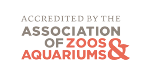Accredited by the Association of Zoos and Aquariums.