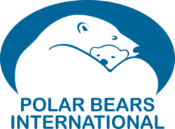 polar bears international