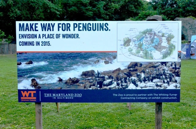 Make way for penguins sign