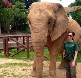 zoo keeper with elephant