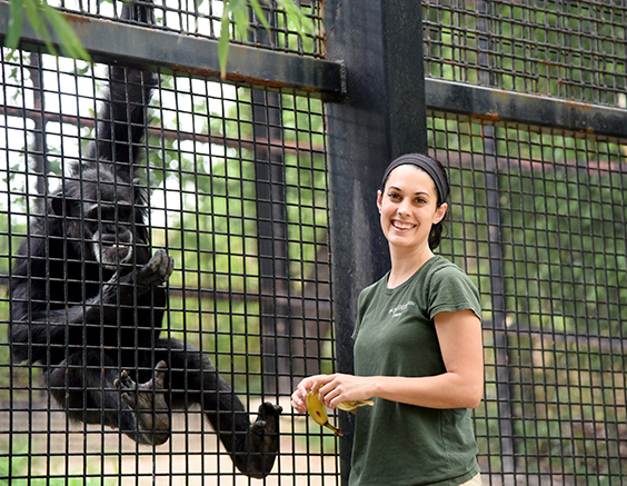 zoo keeper with chimp