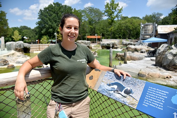 zoo keeper posing near penguin exhibit