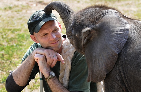 zoo keeper and elephant