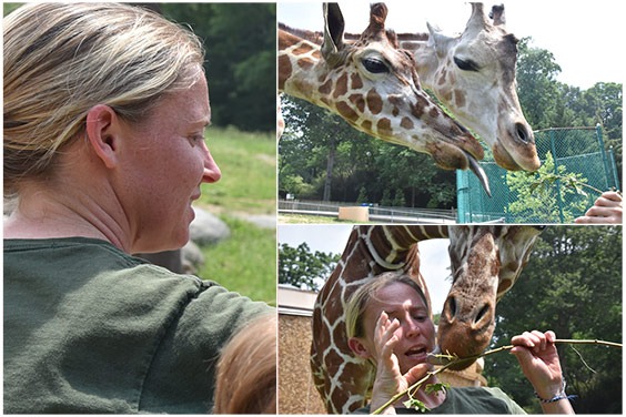 zoo keeper and giraffe