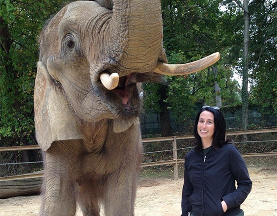 woman standing next to elephant