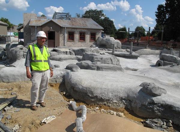 construction on penguin exhibit