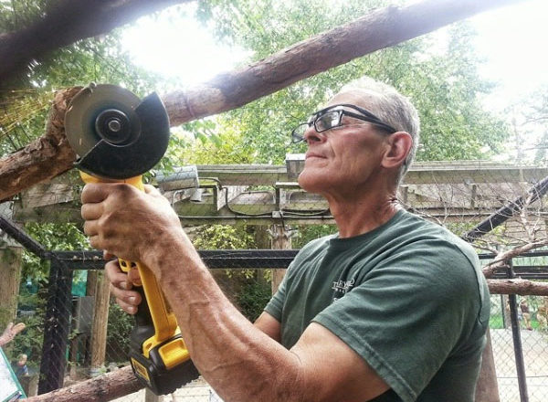 Man working on a tree