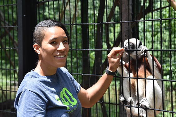 zoo keeper feeding lemur