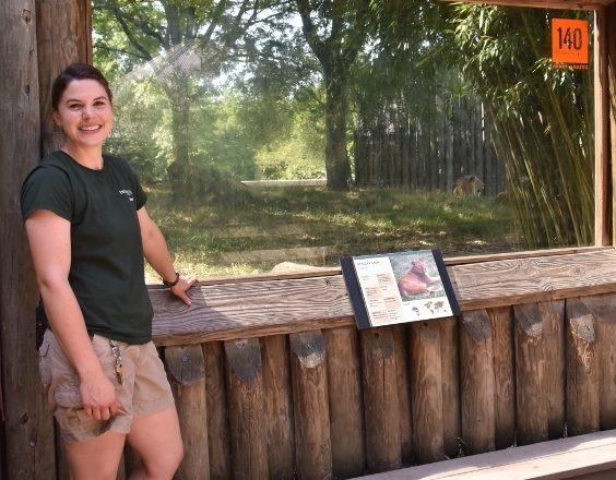 Zoo keeper infront of lion exhibit