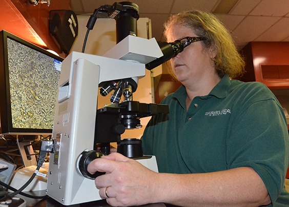 woman looking in microscope