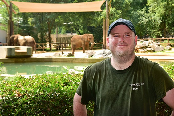 zoo keeper infront of elephant exhibit