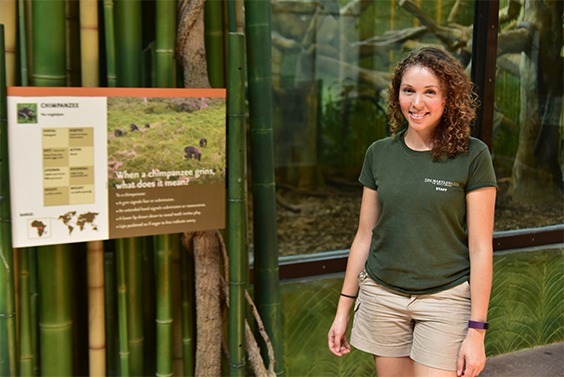 zoo keeper infront of chimp exhibit