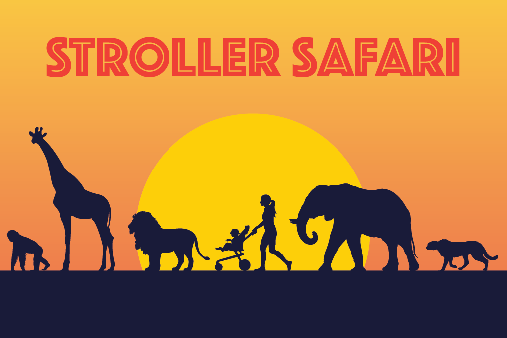 stroller safari