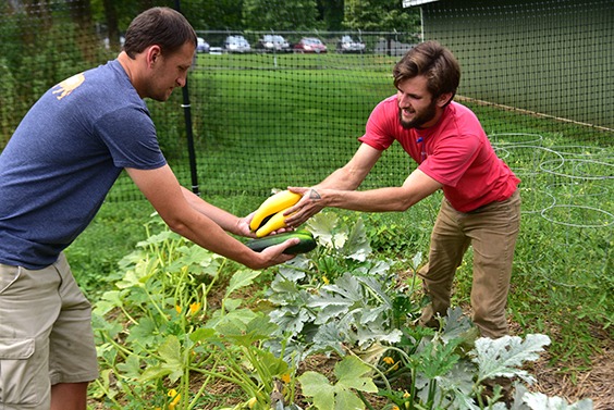 man passing along vegetables