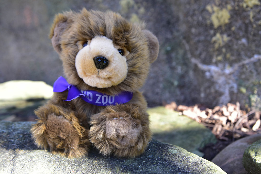 bear stuffed animal on rock.