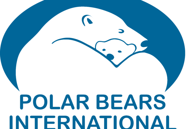 polar bears international logo