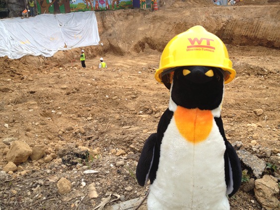 penguin plush at construction site