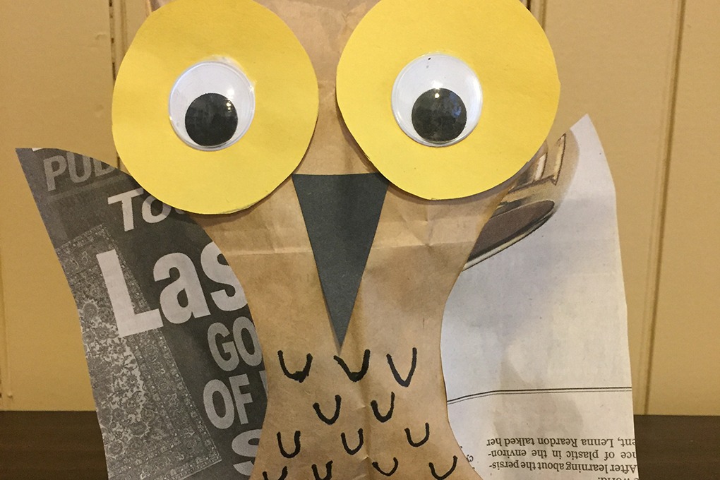 owl craft