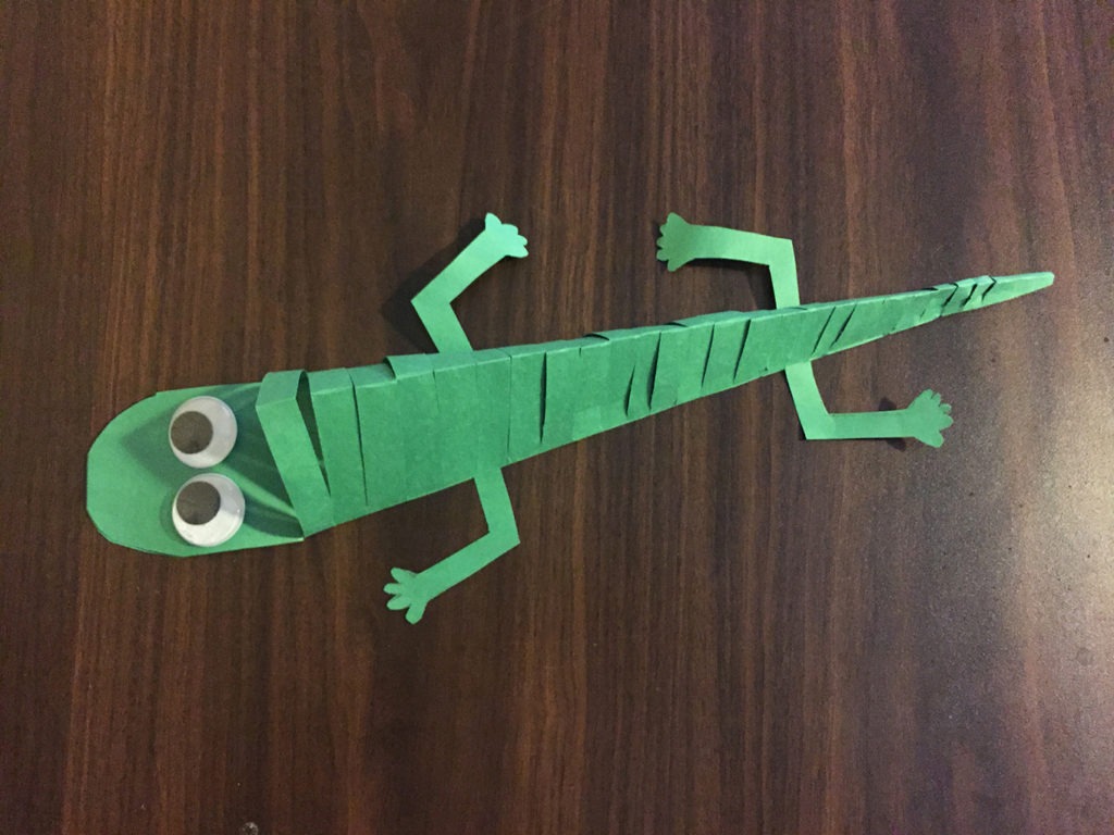 Salamander Craft