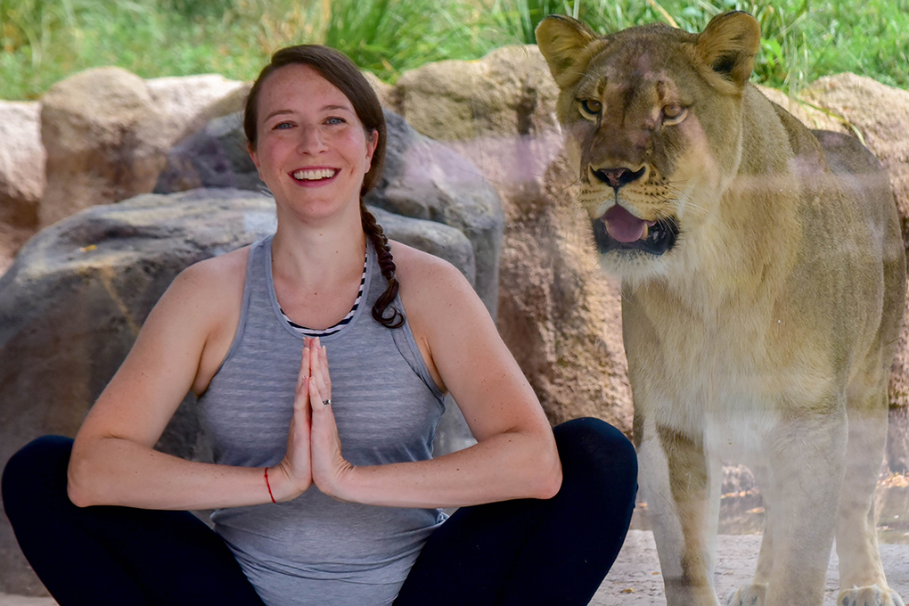 woman doing yoga pose in front of lion exhibit