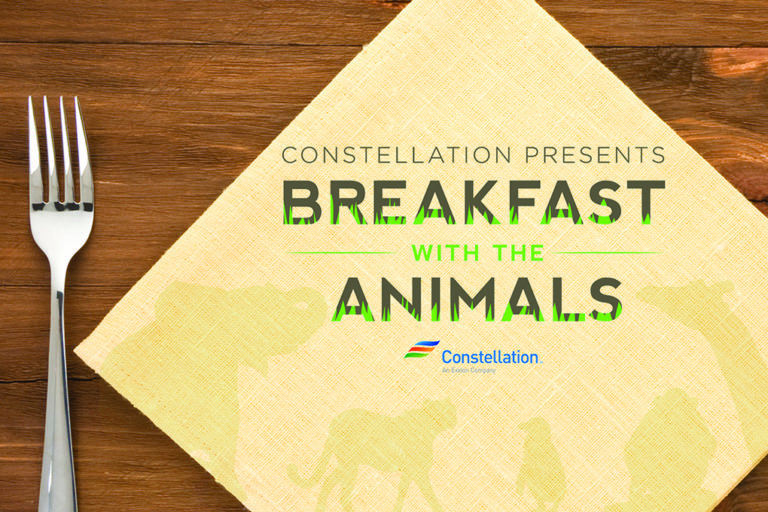breakfast with the animals