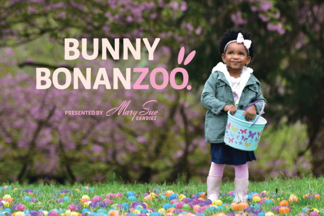 Bunny BonanZoo event header