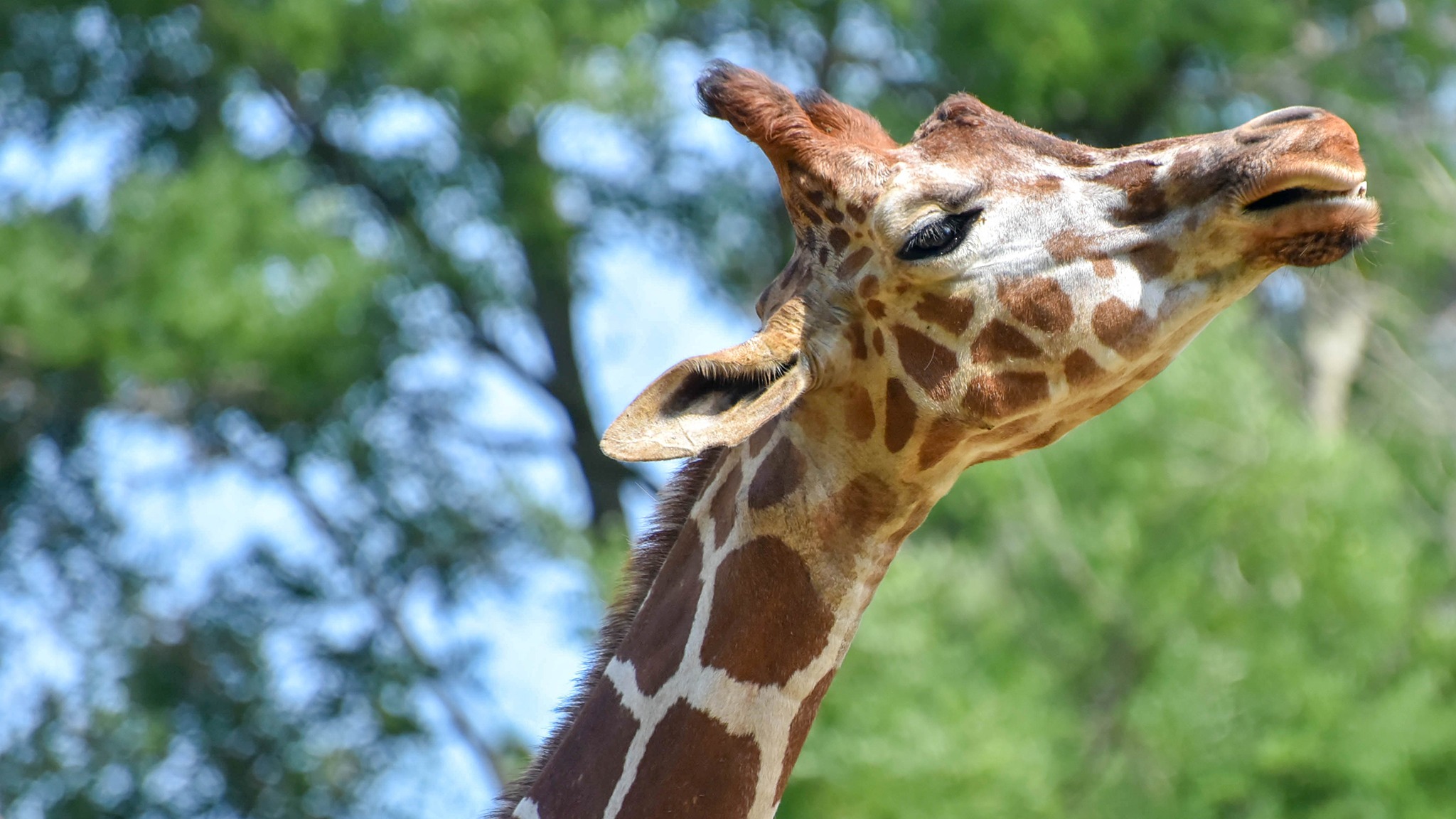 Plan A Visit | The Maryland Zoo