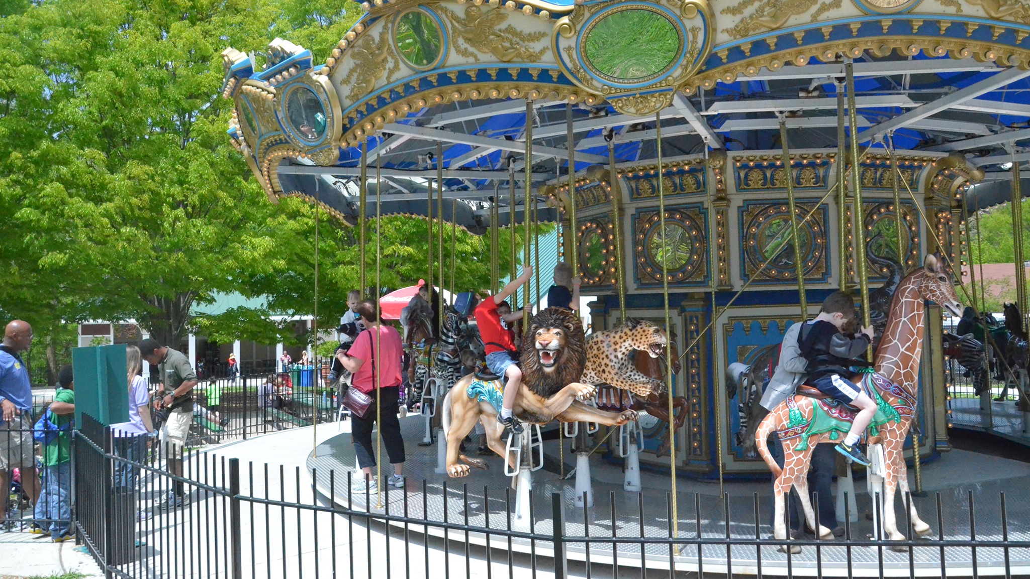 Rides & Attractions | The Maryland Zoo