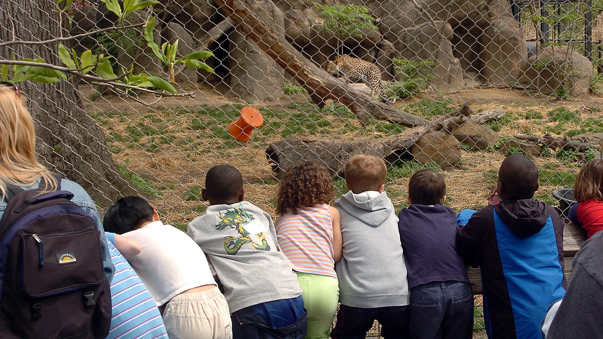 the zoo field trip