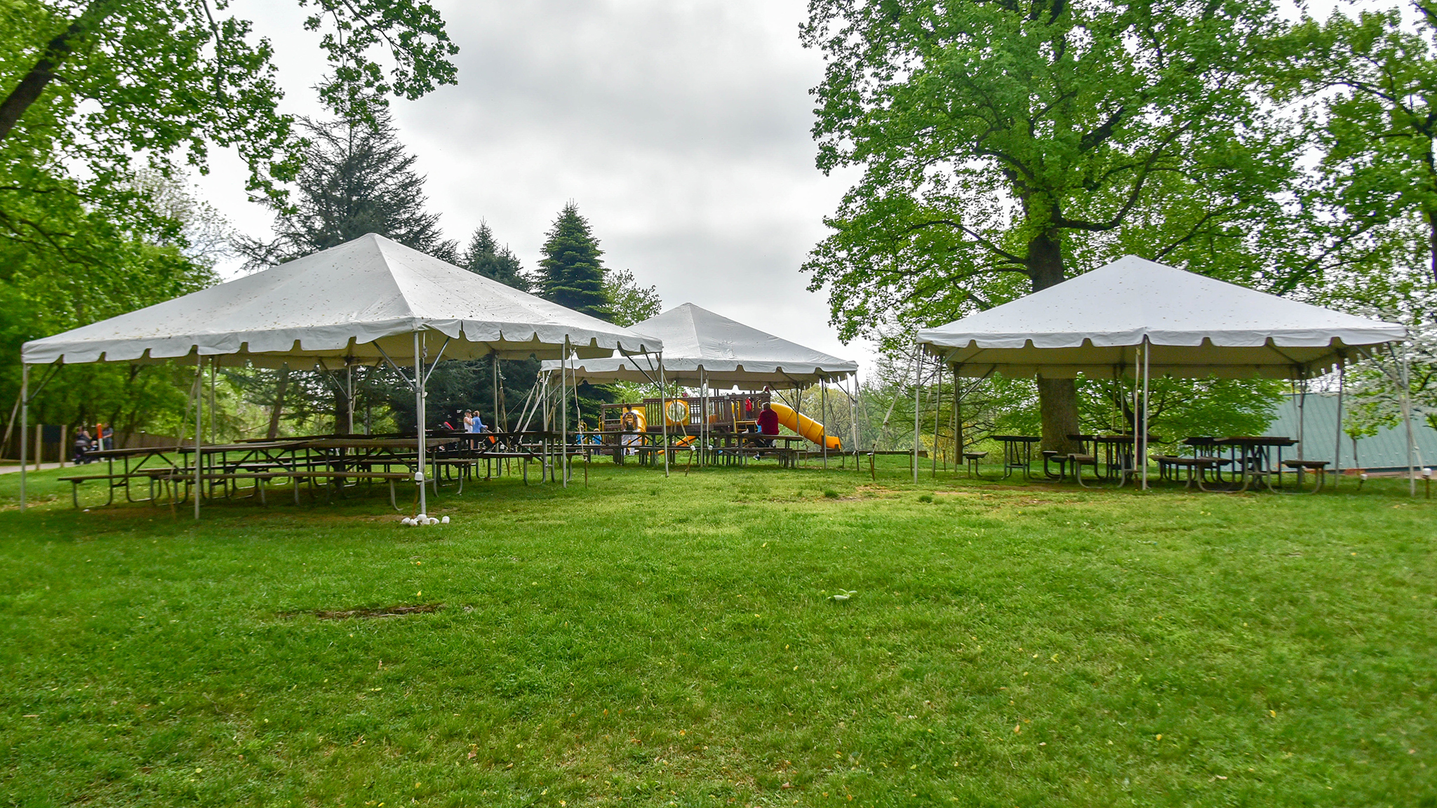 tents and picnic tables in the grass