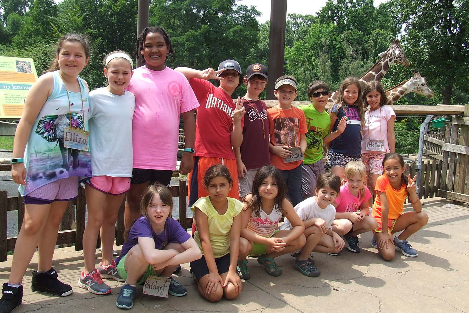 Summer Camps | The Maryland Zoo