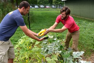Staff members passing vegetables in the Zoo's garden