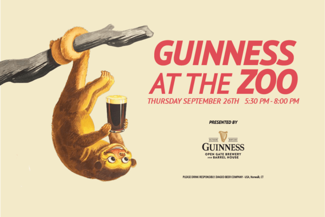 guinness at the zoo promotional banner