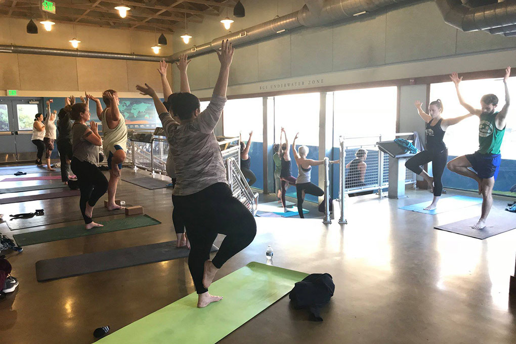 people doing yoga