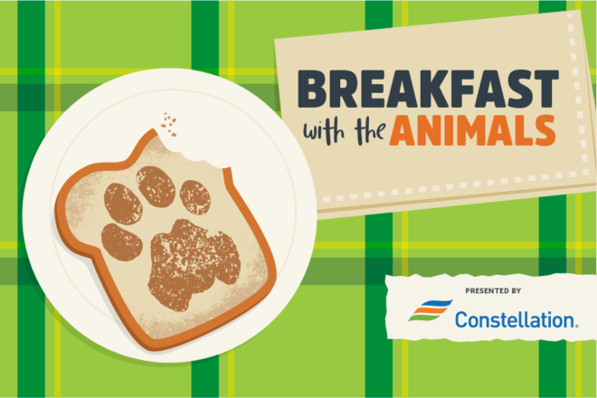 Breakfast with the Animals image