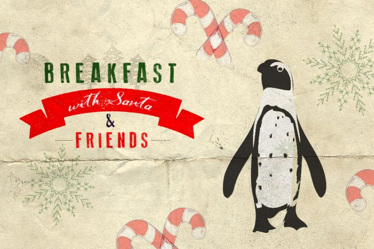 Breakfast with Santa and Friends