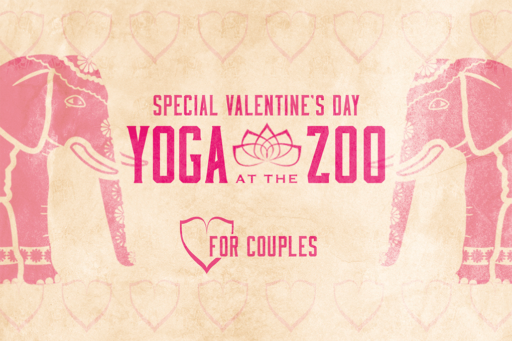 Valentine's Day Yoga at the Zoo for Couples