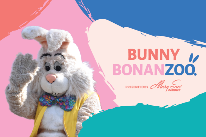bunny bonanzoo presented by Mary Sue Candies