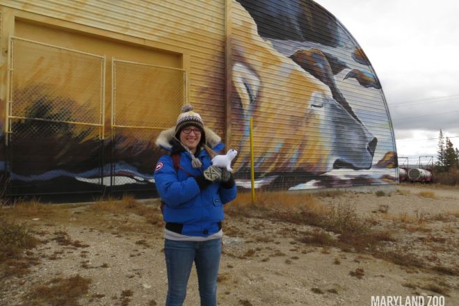 woman posing infront of polar bear art