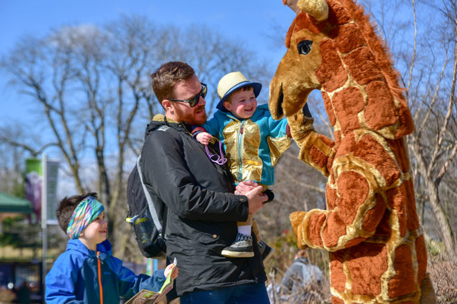 father holding child high-fiving giraffe zoo mascot.