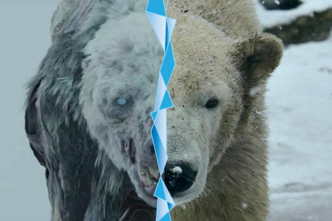 game of thrones bear and polar bear