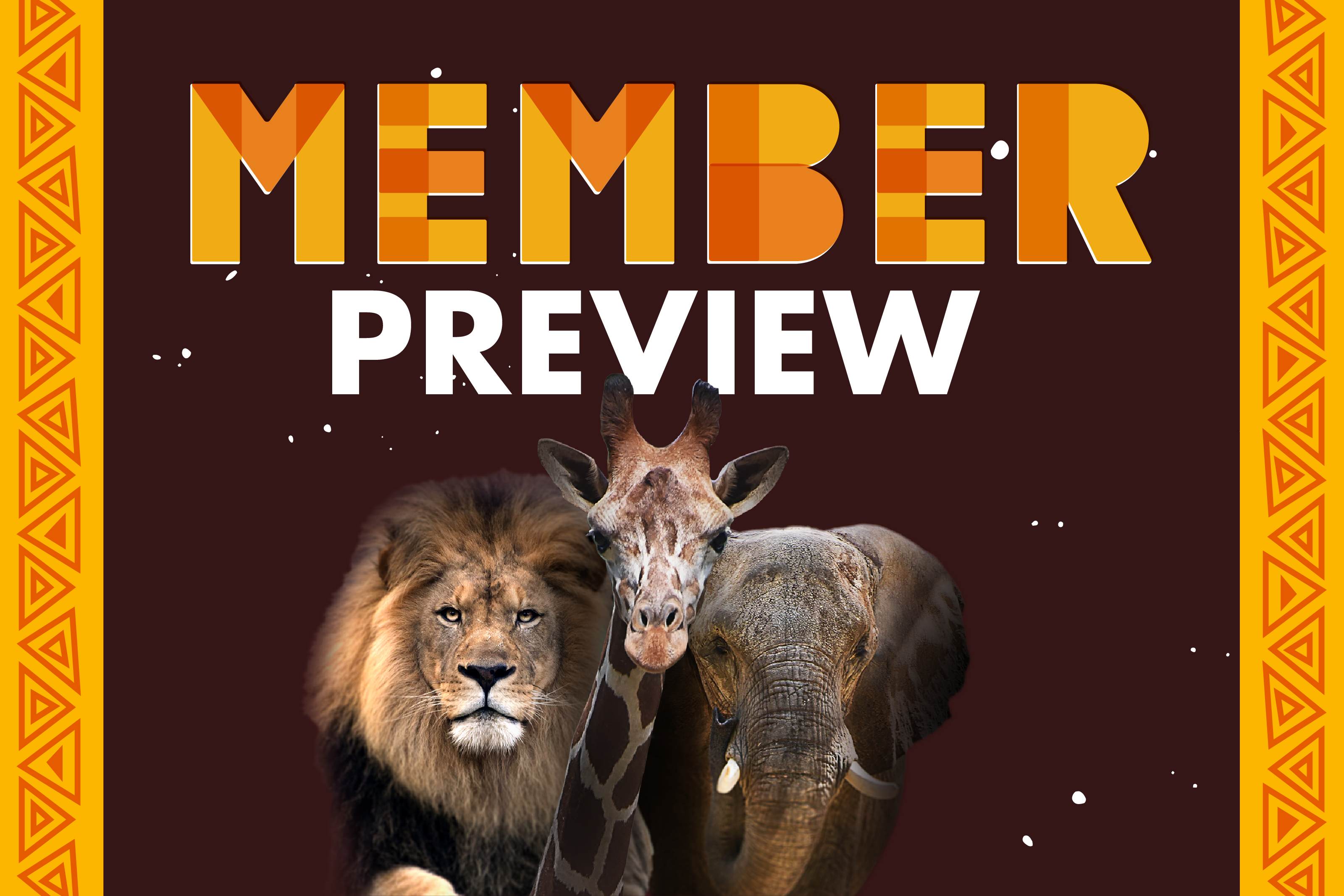 Member preview