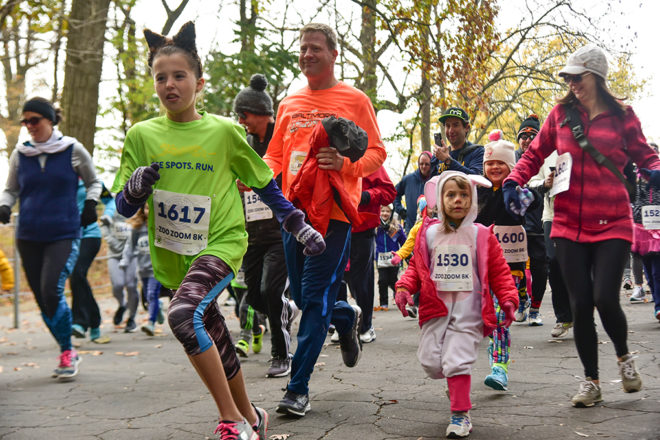 people jogging