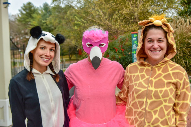 women in animal costumes