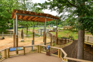 elephant exhibit