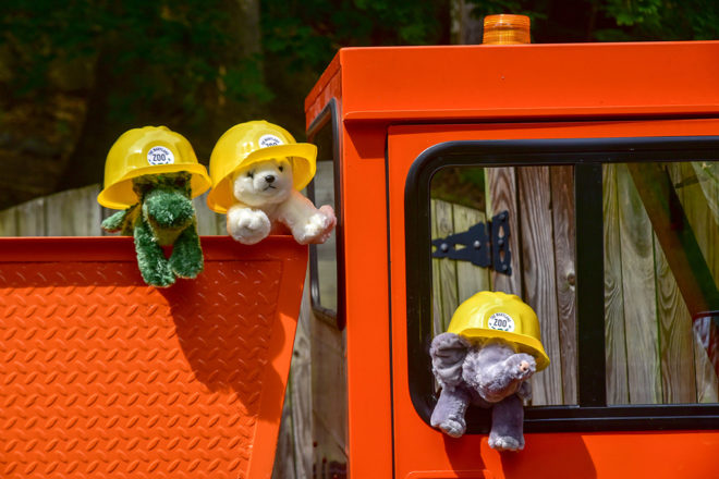 stuffed animals in truck wearing hard hats