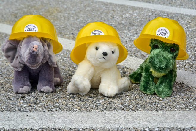 stuffed animals wearing hard hats