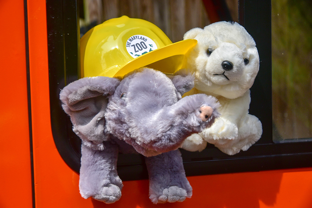 stuffed animals in truck wearing a hard hat