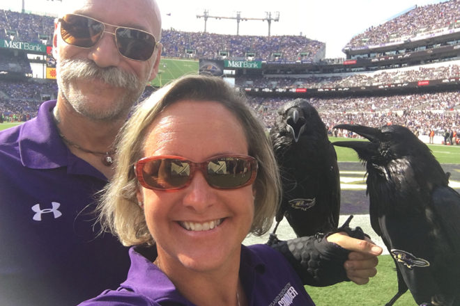 Raven birds at Baltimore Raven's football game