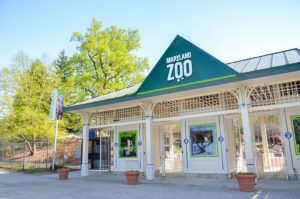 maryland zoo front gate
